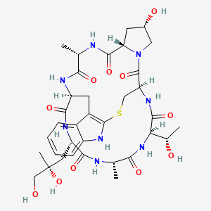 鬼笔环肽