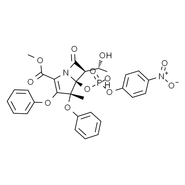 蛋白酶K