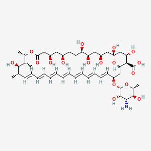 两性霉素B 溶于DMSO