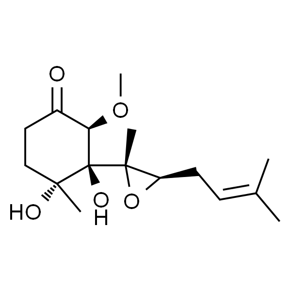 鸡蛋清白蛋白 金标级 99%