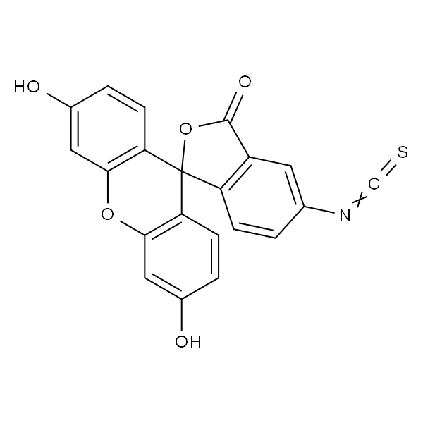 异硫氰酸荧光素 偶联级 90%