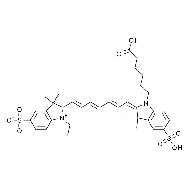 Cy7 荧光染料