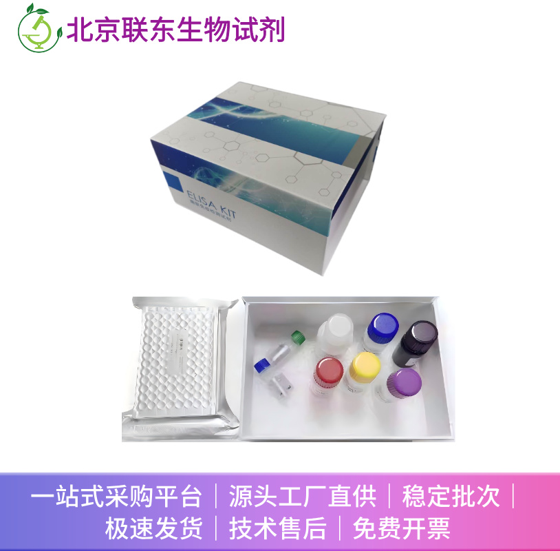 兔胰淀素(Amylin)ELISA检测试剂盒