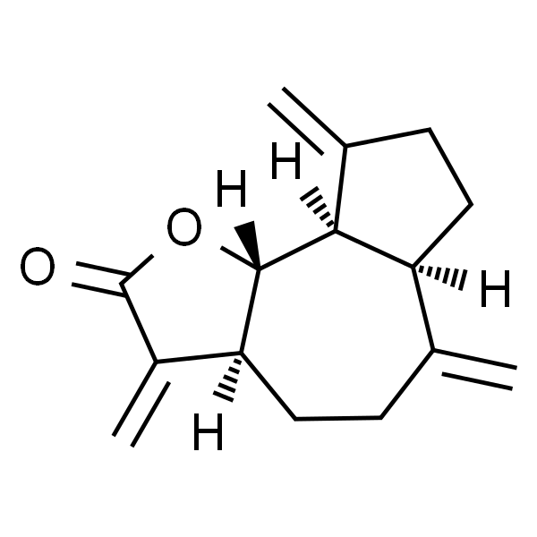 Dehydrocostus Lactone;去氢木香内酯