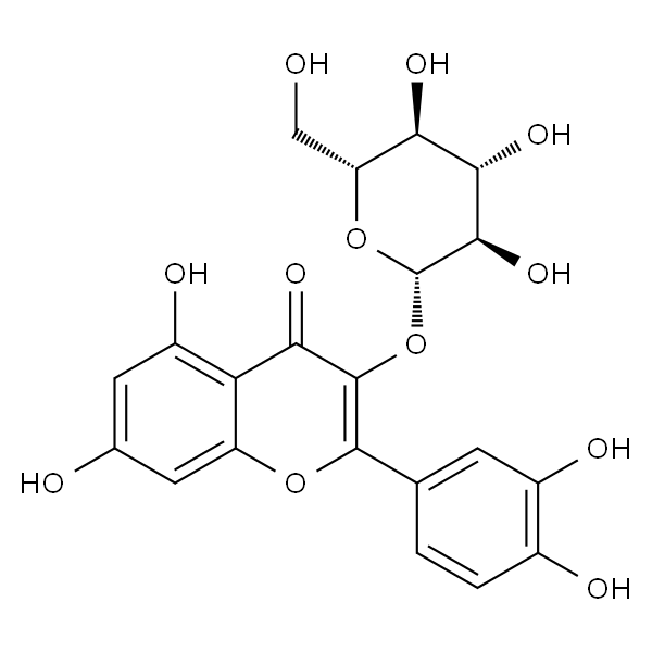 异槲皮苷/异槲皮素/异栎素/罗布麻甲素/槲皮素-3-O-葡萄糖苷/槲皮素-3-O-β-D-吡喃葡萄糖苷