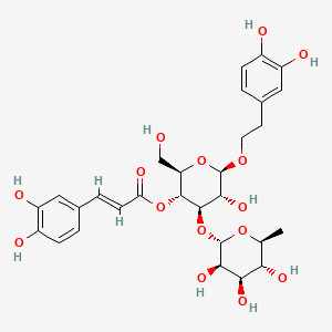 毛蕊花糖苷/麦角甾苷/阿克苷/类叶升麻苷