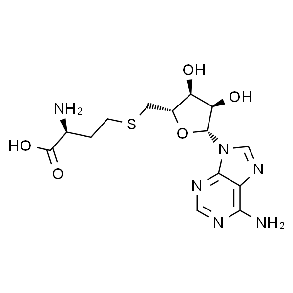 S-(5'-腺苷)-L-高半胱氨酸/S-(5'-腺苷基)-L-高半胱氨酸/S-腺苷高半胱氨酸/S-腺苷-L-高半胱氨酸/s-腺苷同型半胱氨酸/(S)-2-氨基-4-((((2S,3S,4R,5R)-5-(6-氨基-9H-嘌呤-9-基)-3,4-二羟四氢呋喃-2-基)甲基)硫基)丁酸