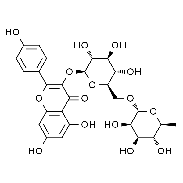 山奈酚-3-O-芸香糖苷/烟花苷/莰菲醇-3-O-芸香糖苷/莰非醇-3-O-芸香糖苷