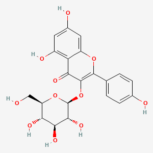 紫云英苷/黄芪苷/莰非醇-3-O-葡萄糖苷/山柰酚-3-o-葡萄糖苷/百蕊草素Ⅱ