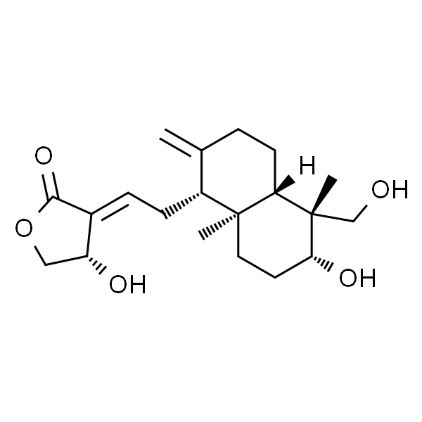 穿心莲内酯/穿心莲乙素/雄茸内酯