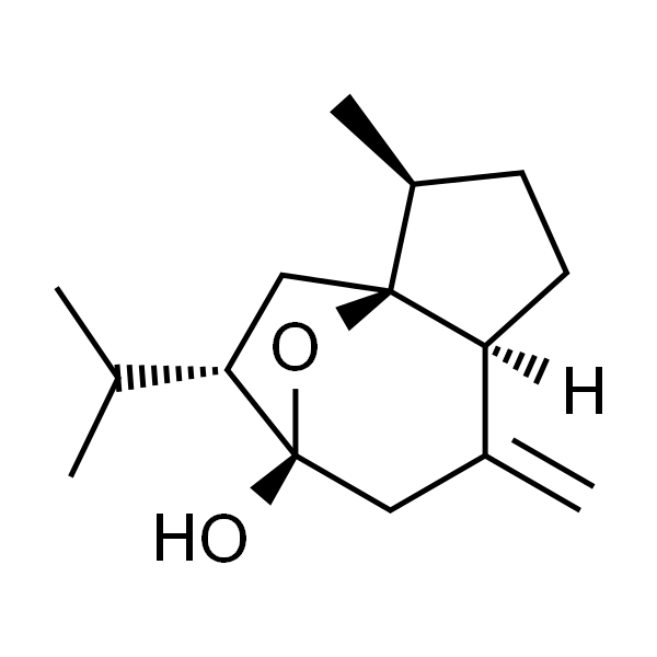 莪术醇/姜黄醇