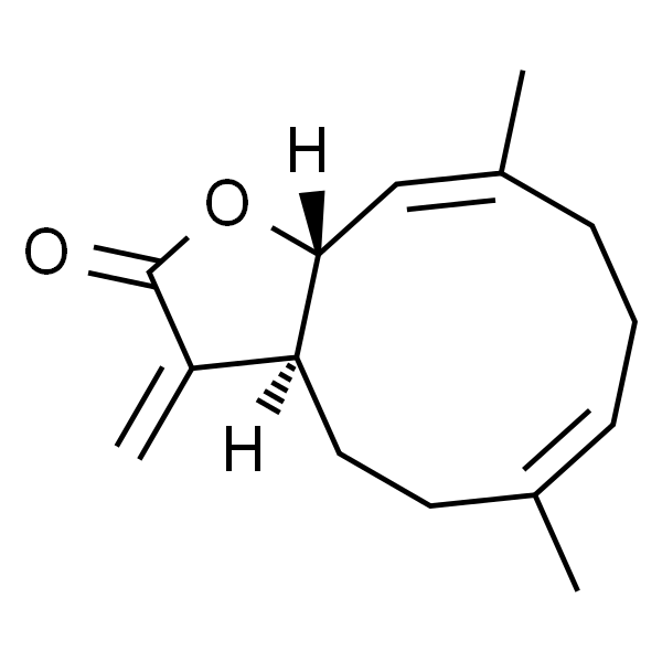 木香烃内酯/去木香烃内脂