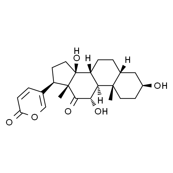 沙蟾毒精/沙蟾蜍精/沙蟾毒经