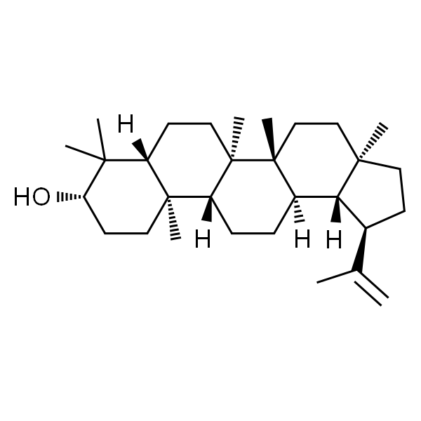 羽扇豆醇/羽扇醇/羽扇豆醇酯/蛇麻醇酯