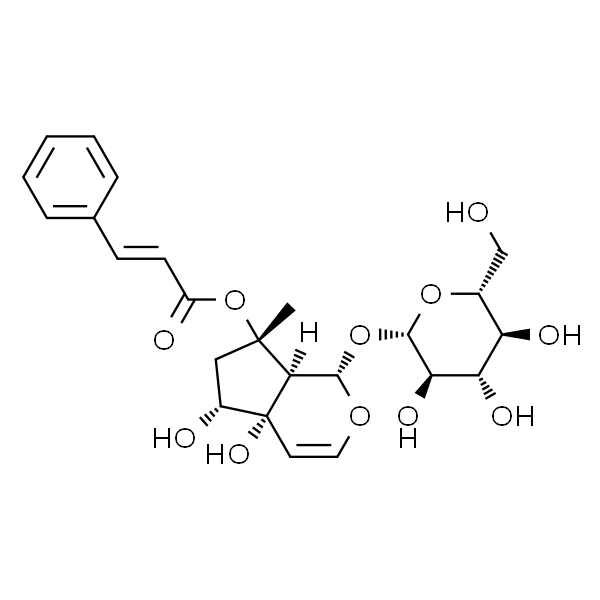 哈巴俄苷/钩果草甙/玄生甙/爪钩草酯苷/哈帕尔苷/钩果草苷/玄生苷