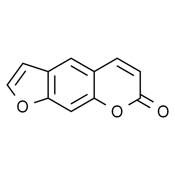 补骨脂素/补骨脂内酯/制斑素/补骨酯素/7H-呋喃并[3,2-g]色烯-7-酮