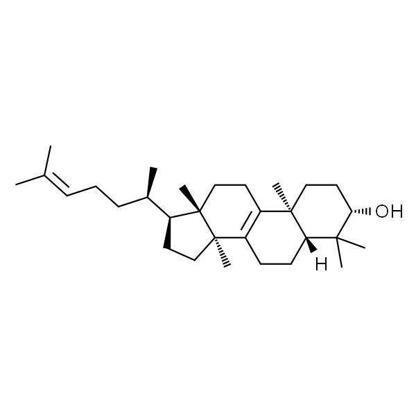大戟二烯醇/大戟醇/大戟甾醇