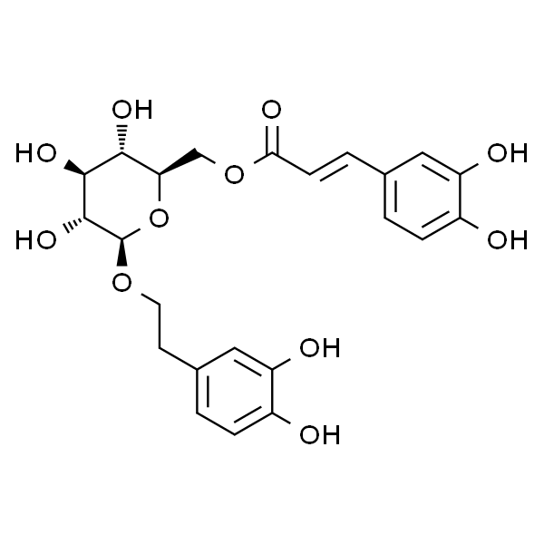 木通苯乙醇苷B/荷苞花苷B