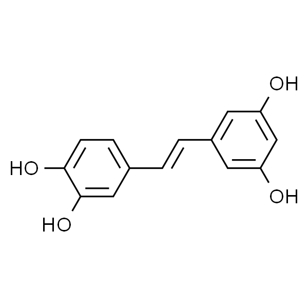 白皮杉醇/比杉特醇/3'-羟基白藜芦醇