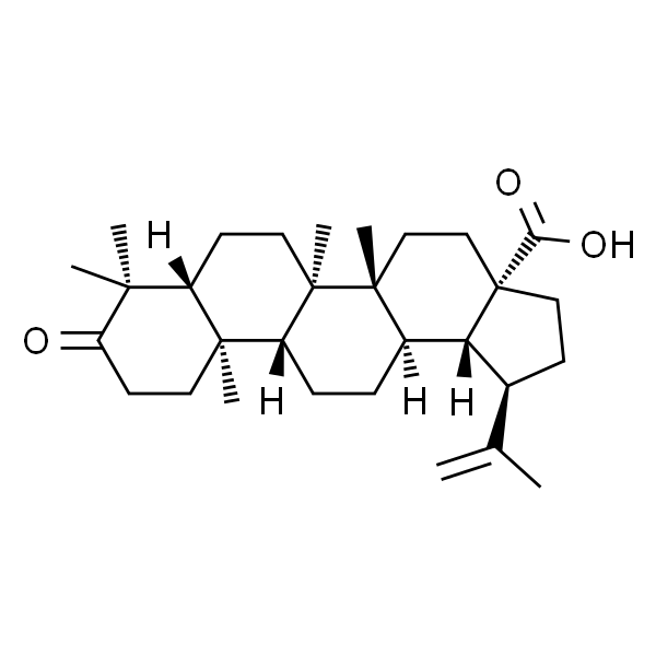 路路通酸/白桦酯酮酸/白桦脂酮酸/桦木酮酸/白桦脂酸/(+)-白桦脂酮酸