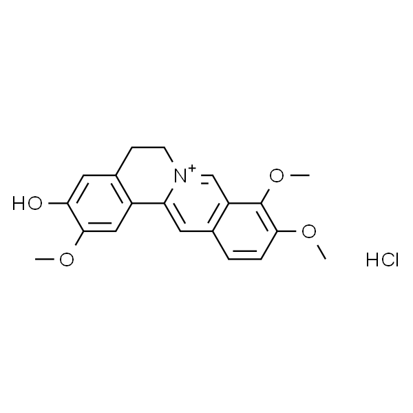 盐酸药根碱/药根碱盐酸盐