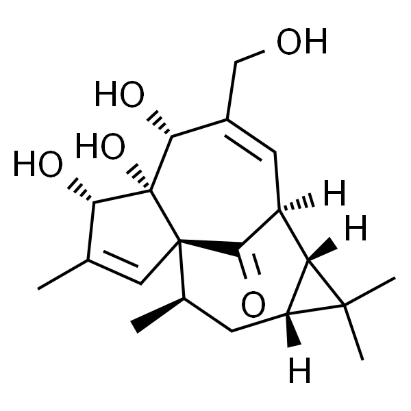 巨大戟醇