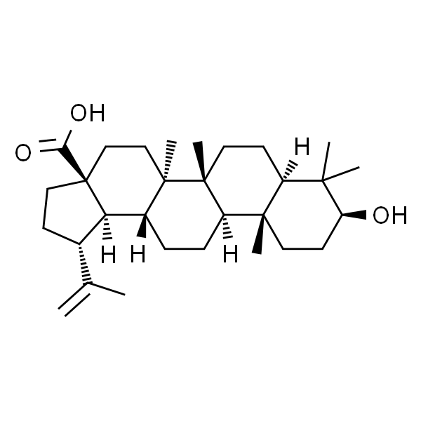 白桦脂酸(桦木酸)