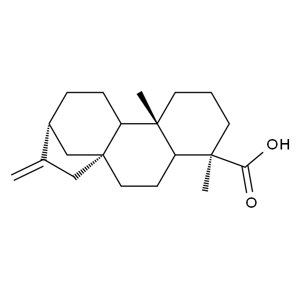 异贝壳杉烯酸/贝壳杉烯酸